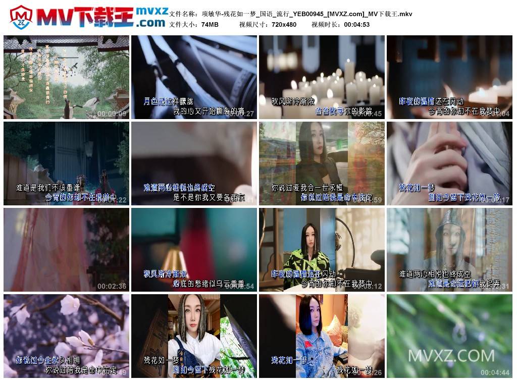 项敏华-残花如一梦_国语_流行_YEB00945